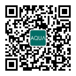 亚洲国产精品麻豆公众号